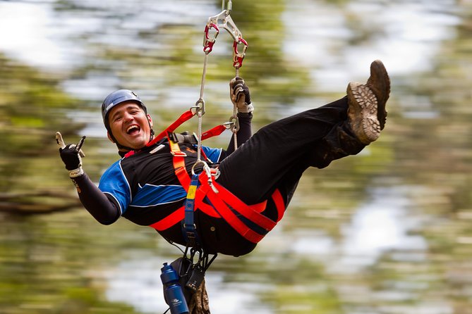 12 Apostles and Otway Fly Zipline Day Trip from Melbourne - Key highlights worth caring about