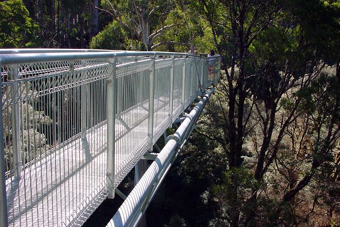 12 Apostles and Otway Fly Zipline Day Trip from Melbourne - Small group pacing: how “max 11” affects your day