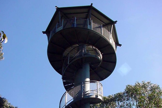 12 Apostles and Otway Fly Zipline Day Trip from Melbourne - Practical tips before you go