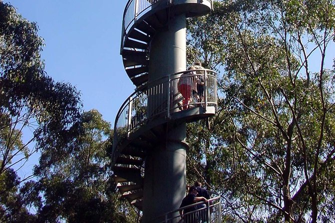 12 Apostles and Otway Fly Zipline Day Trip from Melbourne - Should you book this 12 Apostles and Otway Fly day trip?