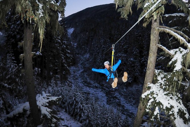 2 Hour Late Afternoon Winter Zipline Adventure - Price and Value: What You’re Really Paying For