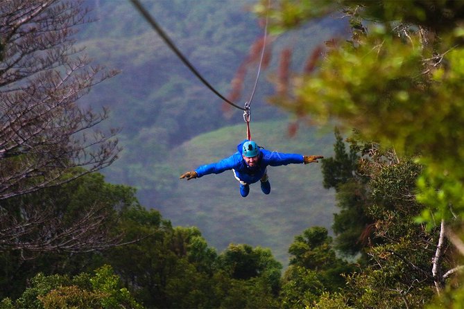 3 hours of the Longest and Highest Extreme Zip line Experience in Monteverde - The Monster Lines You Came For: Lengths, Heights, and What They Feel Like