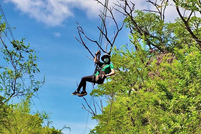 3 Zipline Adventure at Coral Crater with Optional Waikiki Shuttle - The Coral Crater setting and your tower-to-tower flow