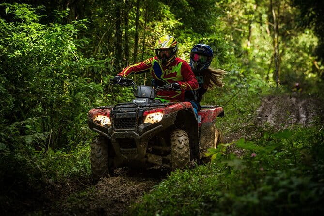 4 Element Day with Zipline Adventure Expedition - Price and value: is $81.12 a good deal?