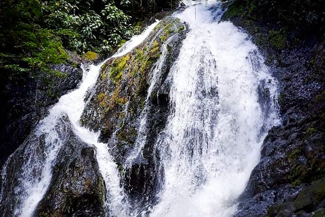 5 Hour Off-Road ATV+ Zipline+ Waterfall Rappelling+ Tractor Jungle Tour - Breaks, Refreshments, and Lunch Choices (What You Should Actually Plan)