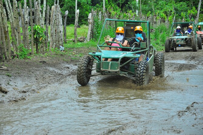 5 tours in 1 (Eco Farm/Horseback/City Tour/Buggy/Zipline) - Price and value for $119.99 in Punta Cana
