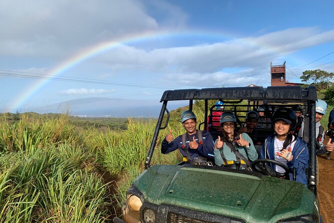 6 Dual-Zipline Mountain Adventure in Maui - Kapalua Ziplines: what this half-day mix is really like