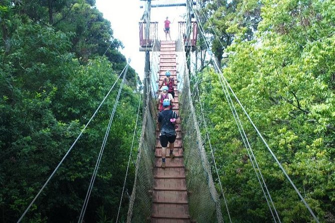 6 Dual-Zipline Mountain Adventure in Maui - Guides, safety, and the small-group vibe that keeps it stress-free