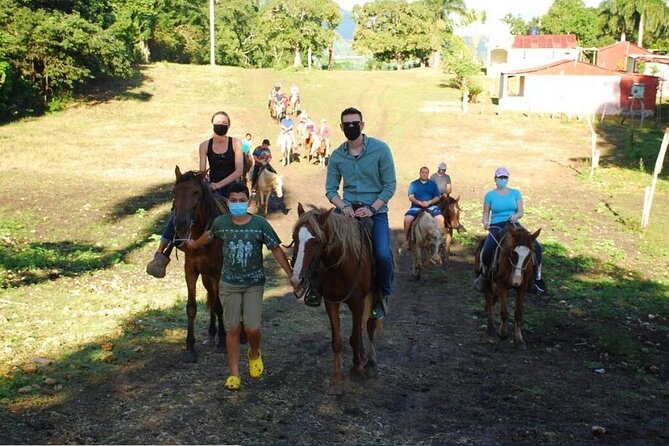 6 in 1 tours Full Day Safari, Zipline, Buggies and Horse Riding - Hacienda time: cigars, mamajuana, and Dominican lunch