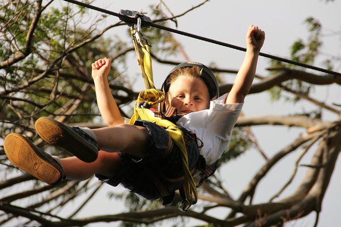 7-Line Maui Zipline on the North Shore - Price and value: what $155 buys you