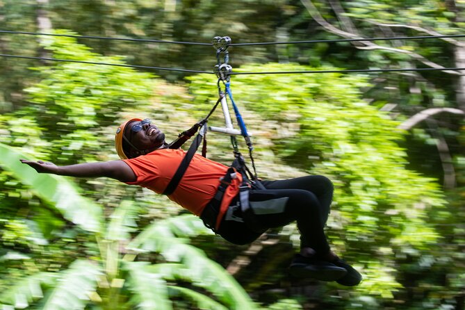Adrena-Line Zipline, St. Lucia - Small details that change the day: lockers, food, and photo add-ons