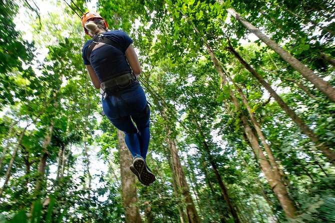 Adrena-Line Zipline, St. Lucia - Is the $63.75 price good value for St. Lucia ziplining?