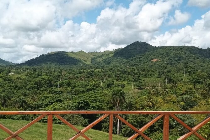 Adrenaline Total: Zipline Tour in Punta Cana - Pickup, Comfort, Drinks, and Why the Small Details Matter