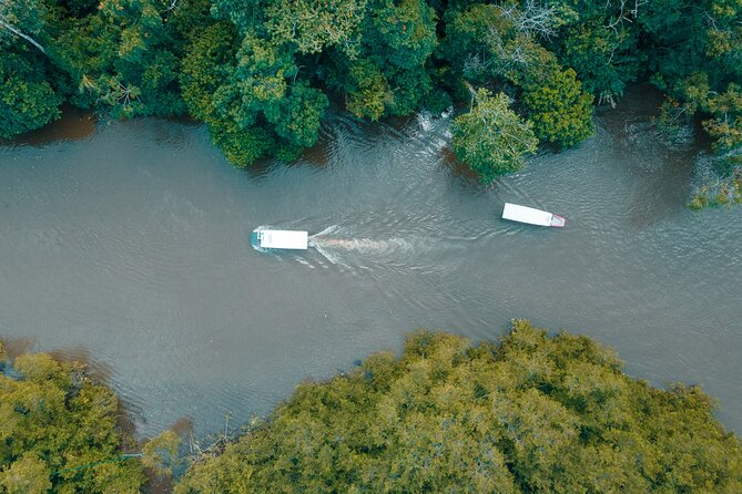 Adventure Combo Tour: Zipline adventure and Tortuguero Canals - Stop 1 at Moin Dock: Tortuguero Canal Cruise for Sloths, Birds, and Caimans