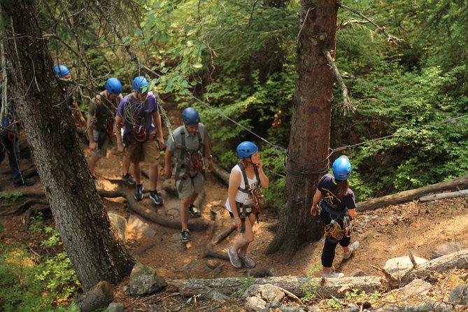 Adventure Parks & Zipline Tour - Skagway Adventure Park: what you’re really doing for 3.5 hours