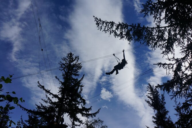 Adventure Parks & Zipline Tour - Ropes course crossings: burma loops, suspension bridges, and balance beams