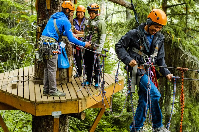 Adventure Parks & Zipline Tour - Price and value: is $203.74 worth it?