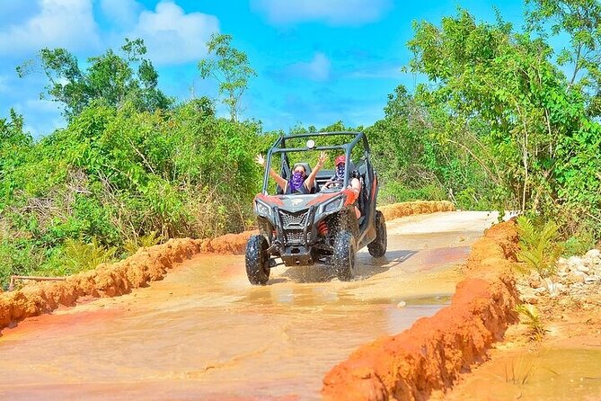 Adventure Tour con Buggies Ziplining Cenote y Taino Culture - Zip Lines Through the Trees: Short Time, Real Adrenaline