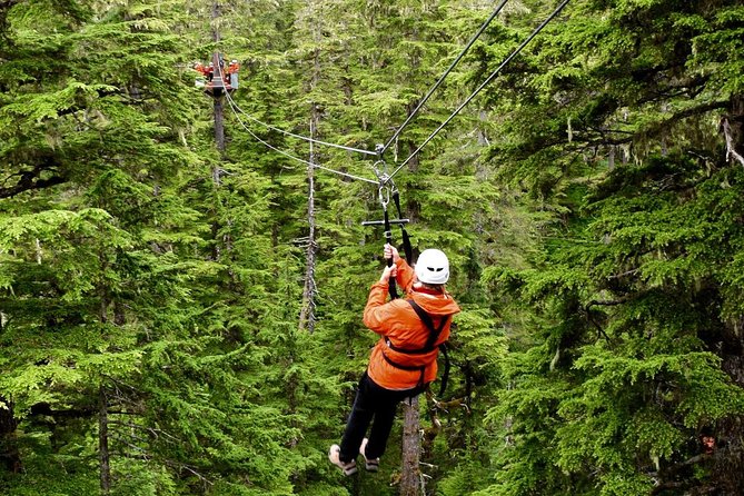 Alpine Zipline Adventure in Juneau, AK - Key moments that make this zipline special