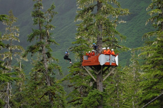 Alpine Zipline Adventure in Juneau, AK - Entering the Douglas Island canopy from Juneau