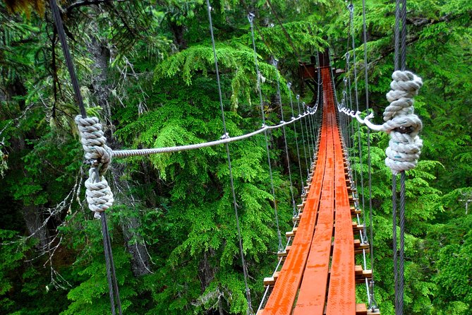 Alpine Zipline Adventure in Juneau, AK - Axe throwing after the zips: fun, controlled, and surprisingly satisfying