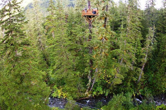 Alpine Zipline Adventure in Juneau, AK - Mt. Roberts Aerial Tram Parking Lot to Eaglecrest Lodge: the ride matters