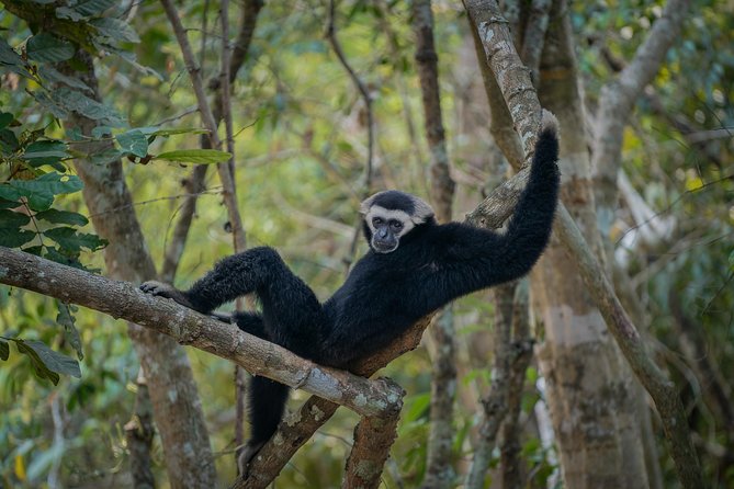 Angkor Wat Park Zip Line Adventure in Siem Reap - Price and value: is $53.90 a good deal?