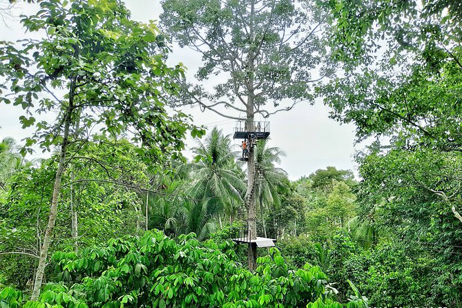 ATV And Zipline Experience on Koh Samui with Transfer - Zipline Over the Jungle Canopy: Safety, Instructions, and 360° Views