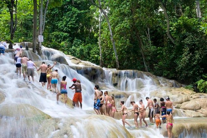 ATV, Horseback Ride, Zipline, Falls Climb + Lunch from Ocho Rios - Horseback Ride ‘N’ Swim: When Jamaica Goes Blue