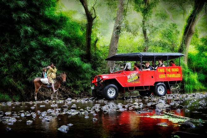 ATV Quad Bike and Zip Line Adventure Tour (Departs Nadi) - Transfers from Nadi and Denarau: less hassle, better timing
