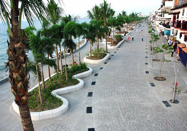 ATV-Zip Line Combo Adventure Tour from Puerto Vallarta - Quick hits before you go