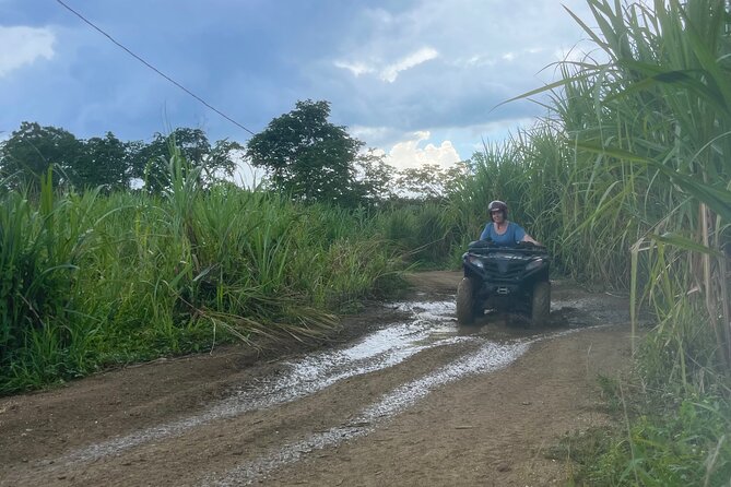 ATV, Zipline, Horseback, Bamboo Rafting and Rick’s Cafe - Horseback riding with a 260 lb limit: calm pace, real outdoors