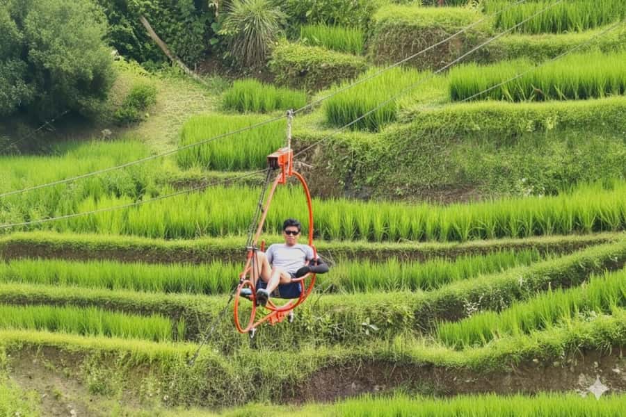 Bali: Ubud Swing, Zipline, SkyBike in a Private Rice Terrace - The private 400 are rice terrace and the 7 photo stops