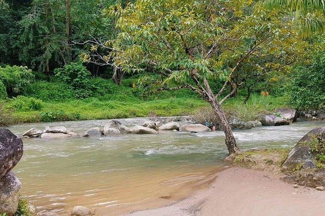 Bamboo Rafting, ATV Riding and Zip Line Tour From Phuket - ATV in the jungle for 30 minutes: fun, but not a free-for-all