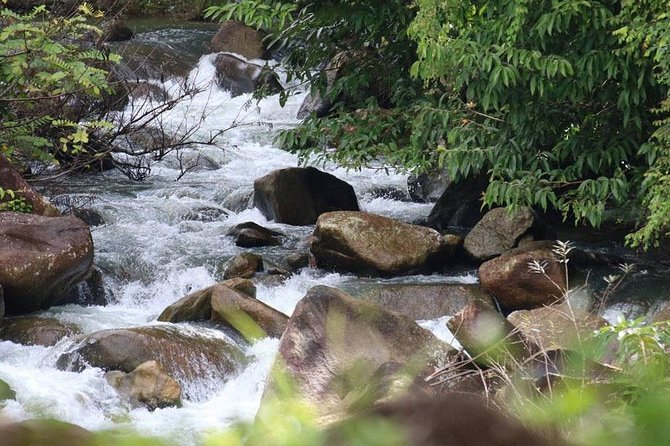 Bamboo Rafting, ATV Riding and Zip Line Tour From Phuket - Zip line (150m) over the Phuket area: the highlight if you like height