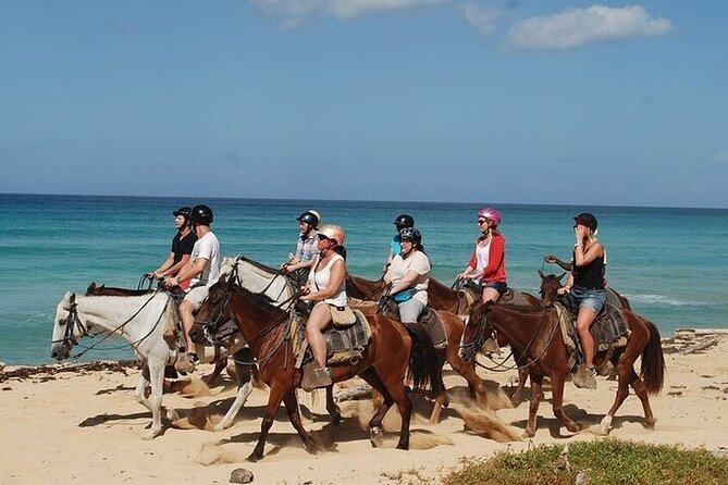 Buggy Horses and Zip Line from Punta Cana with Lunch Included - Stop 1 in Punta Cana: The Buggy Experience Through Dunes and Jungle Trails