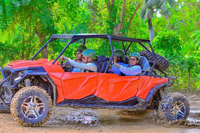 Buggy Horses and Zip Line from Punta Cana with Lunch Included - Price and Value: Why $95 Can Make Sense for This Combo
