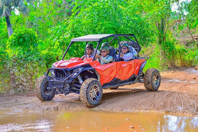 Buggy Horses and Zip Line from Punta Cana with Lunch Included - Who This Tour Fits Best (And Who Should Skip It)