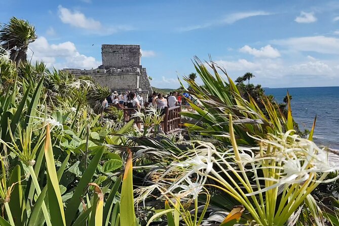 Cancun Jungle Tour: Tulum, Cenote Snorkeling, Ziplining, Lunch - Price and value: what the $158.90 really covers