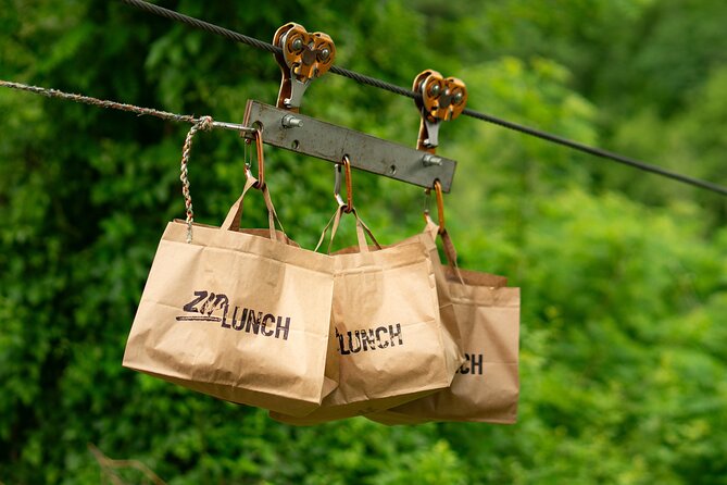 Canyon Zip Line - Who this tour suits best (and who should think twice)