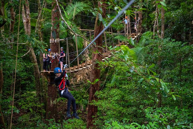 Cape Tribulation & Ziplining: Ultimate Daintree - Key things I’d circle before booking