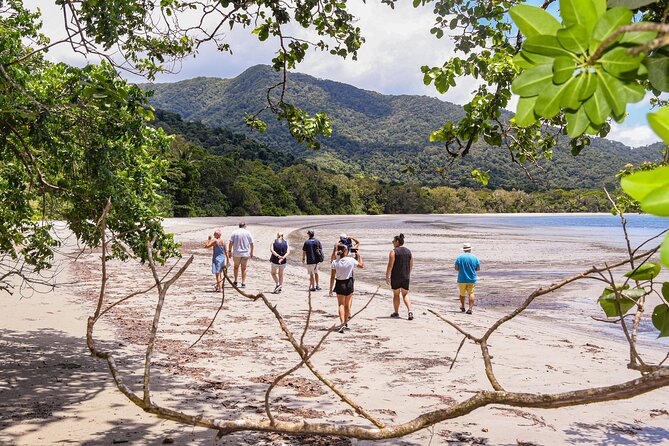 Cape Tribulation & Ziplining: Ultimate Daintree - The Treetops ziplining: safety gear included, max weight applies