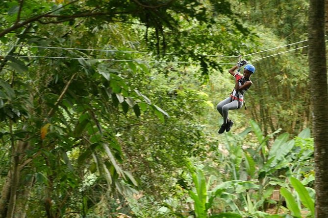 Day of Adventure - Zipline and Hike or Bike - Key Things You’ll Remember