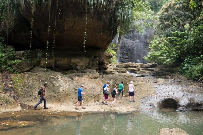 Day of Adventure - Zipline and Hike or Bike - Treetop Adventure Park Canopy: what the 12-line zipline really feels like