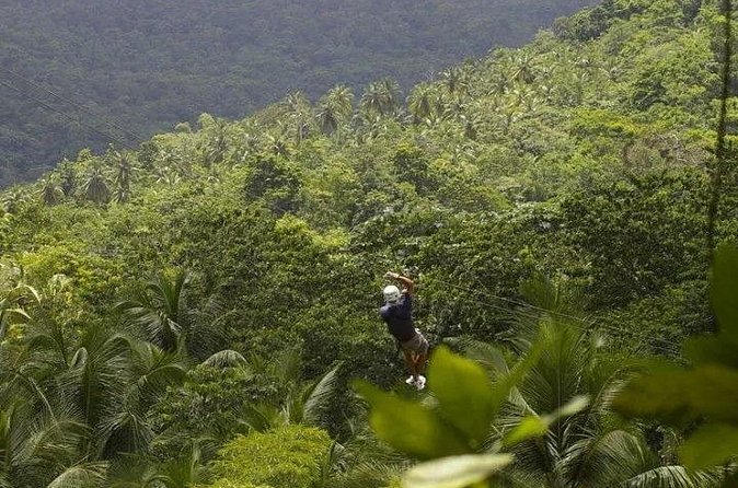 Day of Adventure - Zipline and Hike or Bike - Price and value: is $126.93 a good deal?