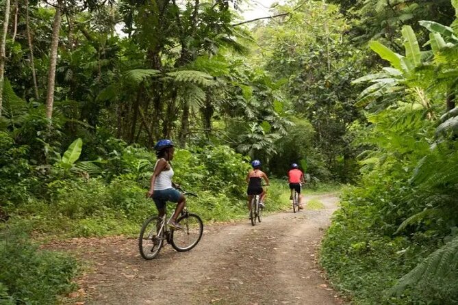 Day of Adventure - Zipline and Hike or Bike - What to wear and prep for: the practical side of zipline days