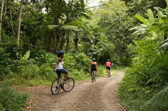 Day of Adventure - Zipline and Hike or Bike - Should you book the Zipline and Hike or Bike day?