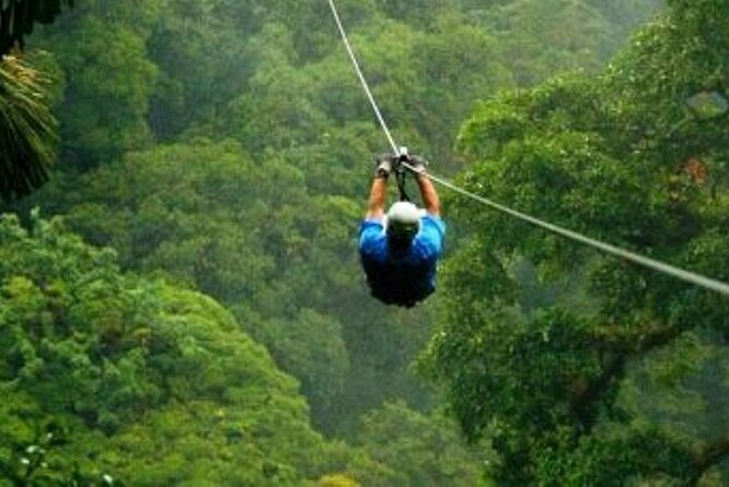 Day Trip to Kereita Forest and Ziplining - Kereita Forest: beyond the zipline poster photo