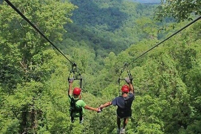 Day Trip to Kereita Forest and Ziplining - The two-valley hike plus Elephant Pool: why this day trip feels real
