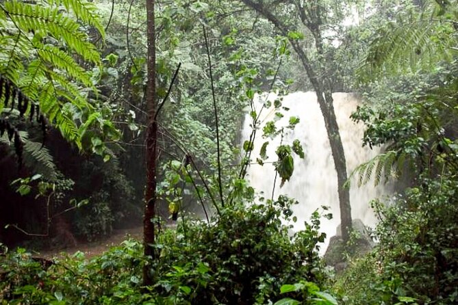 Day Trip to Kereita Forest and Ziplining - Ziplining at Kereita: what you should budget and how to choose